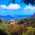 Superb Sea View With Pool And Big Garden Villa *