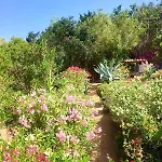 Villa Superb Sea View With Pool And Big Garden