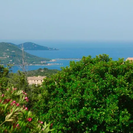 Superb Sea View With Pool And Big Garden Pietrosella