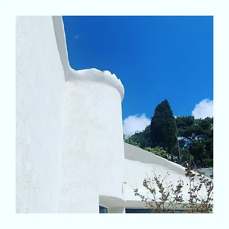 Superb Sea View With Pool And Big Garden Willa