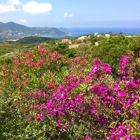 Superb Sea View With Pool And Big Garden