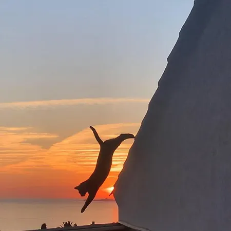 Superb Sea View With Pool And Big Garden Willa *