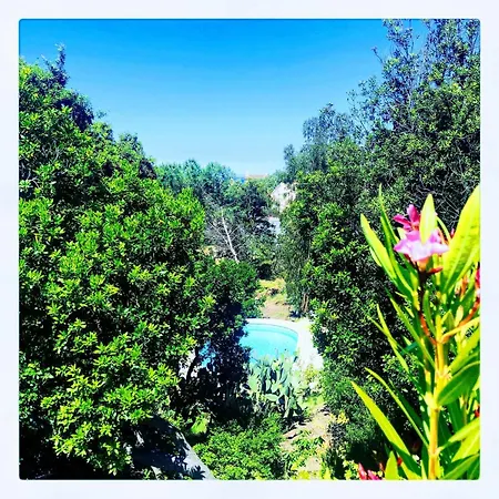 Villa Superb Sea View With Pool And Big Garden