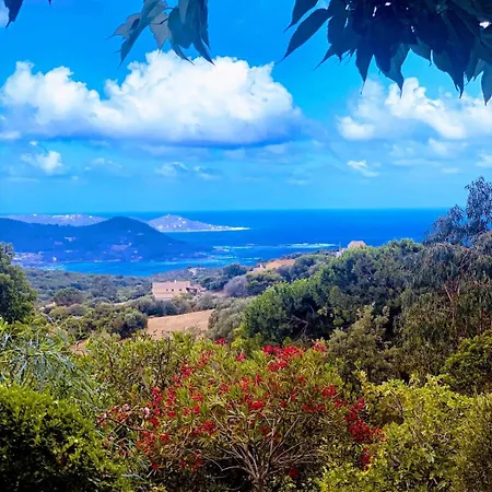 Superb Sea View With Pool And Big Garden Villa *