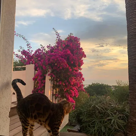 Villa Superb Sea View With Pool And Big Garden Pietrosella