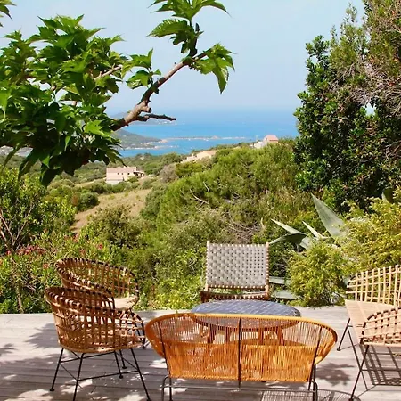 Superb Sea View With Pool And Big Garden Villa