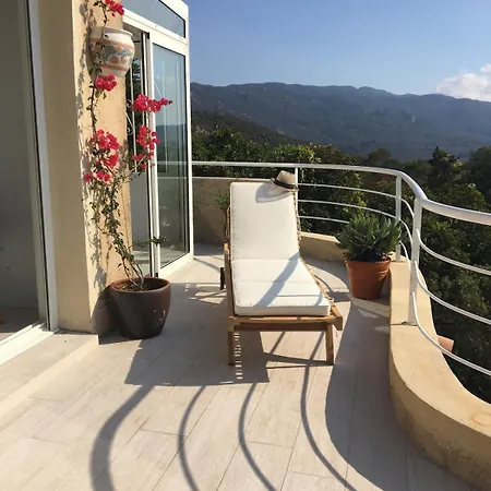Willa Superb Sea View With Pool And Big Garden Pietrosella