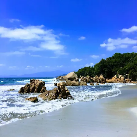 Superb Sea View With Pool And Big Garden * Pietrosella