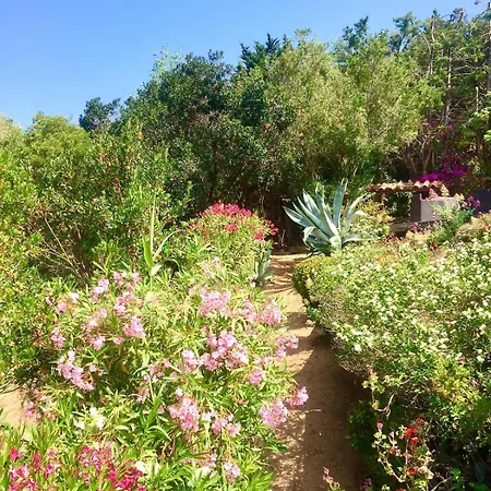 Willa Superb Sea View With Pool And Big Garden