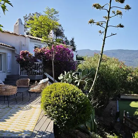 Superb Sea View With Pool And Big Garden