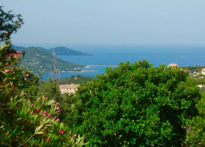 Superb Sea View With Pool And Big Garden Pietrosella