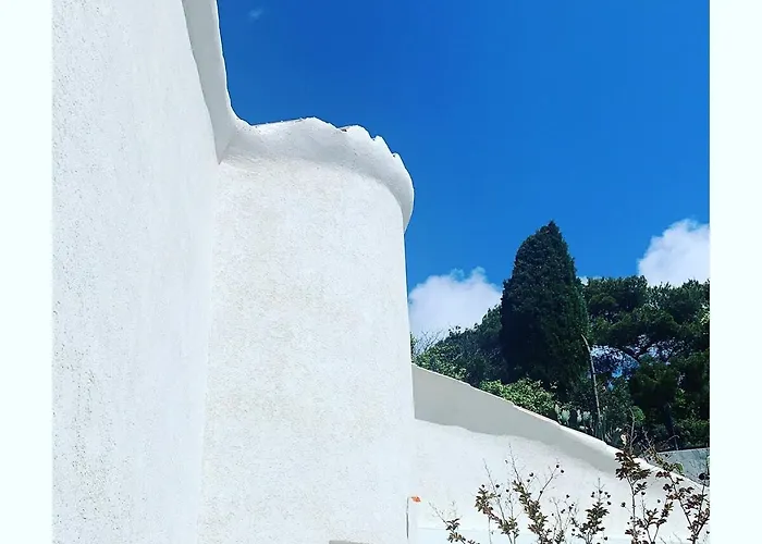 Superb Sea View With Pool And Big Garden וילה