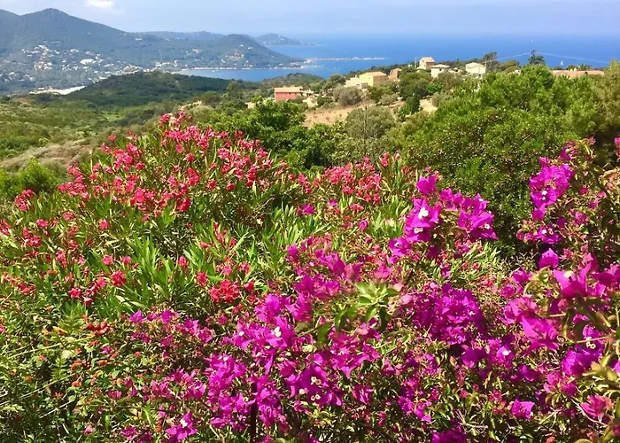 Superb Sea View With Pool And Big Garden