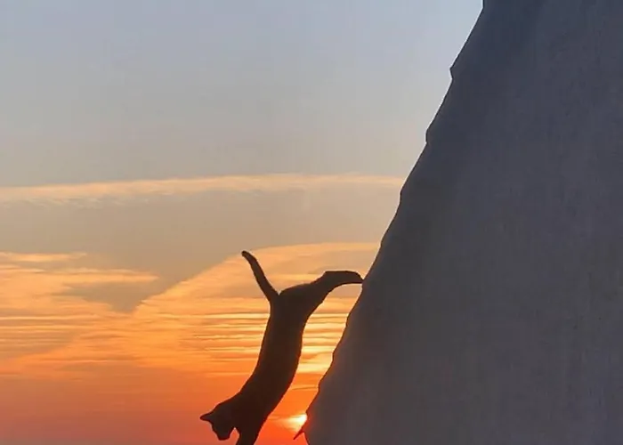 Superb Sea View With Pool And Big Garden וילה *