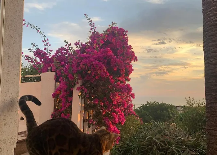 וילה Superb Sea View With Pool And Big Garden Pietrosella