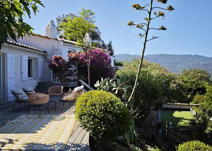 Superb Sea View With Pool And Big Garden